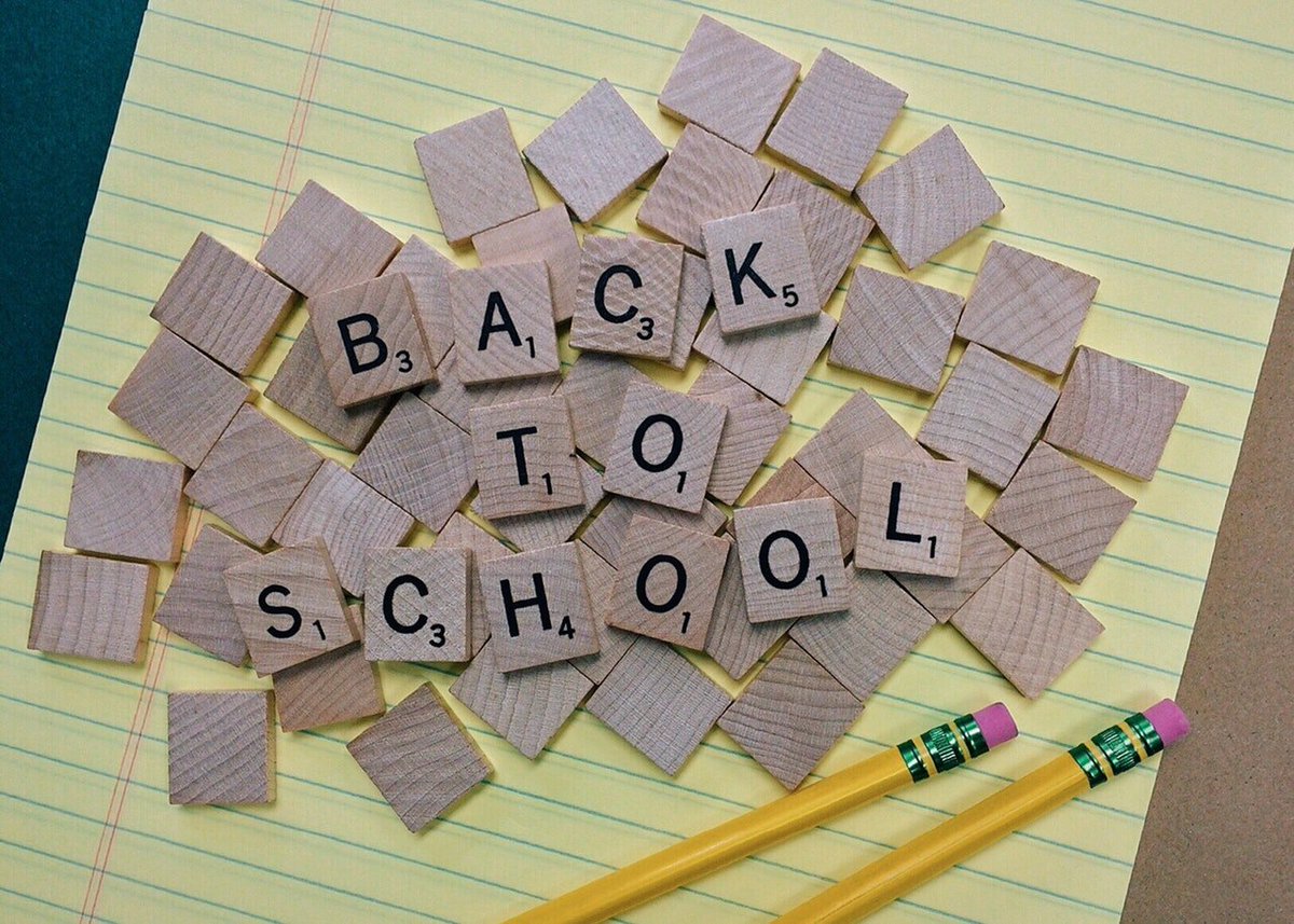 ScottErvinKids's tweet photo. Teachers going back to school in the coming weeks: we appreciate everything you do! The details on your student nametags, the meticulously prepared lesson plans, the handshakes &amp; hugs that make your students feel welcome: you are making the world a better place.Have a great year! https://t.co/kD69ZeY0ul
