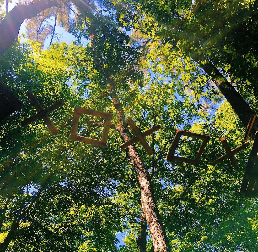 Plans for the weekend? 🚙 Hurry up as we're almost sold out for our Adventure Courses but still have spots open for both Saturday + Sunday for the following: 

🌲 Zip Line Tour 
🌲 Discovery Courses
🌲 Treewalk Village

Book online ➡️ bit.ly/2RHaRiG