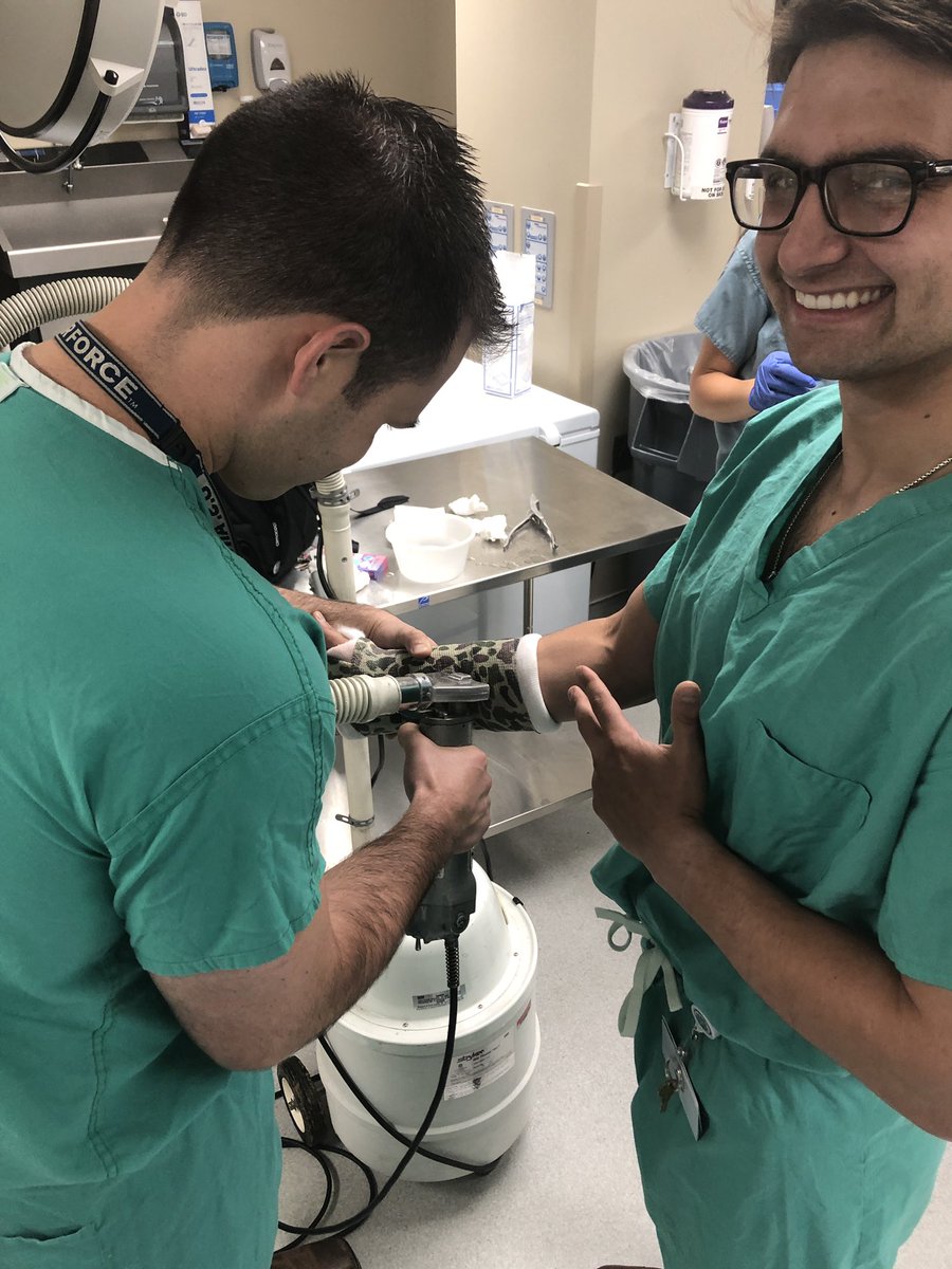 Brian Scannell, MD tweet media