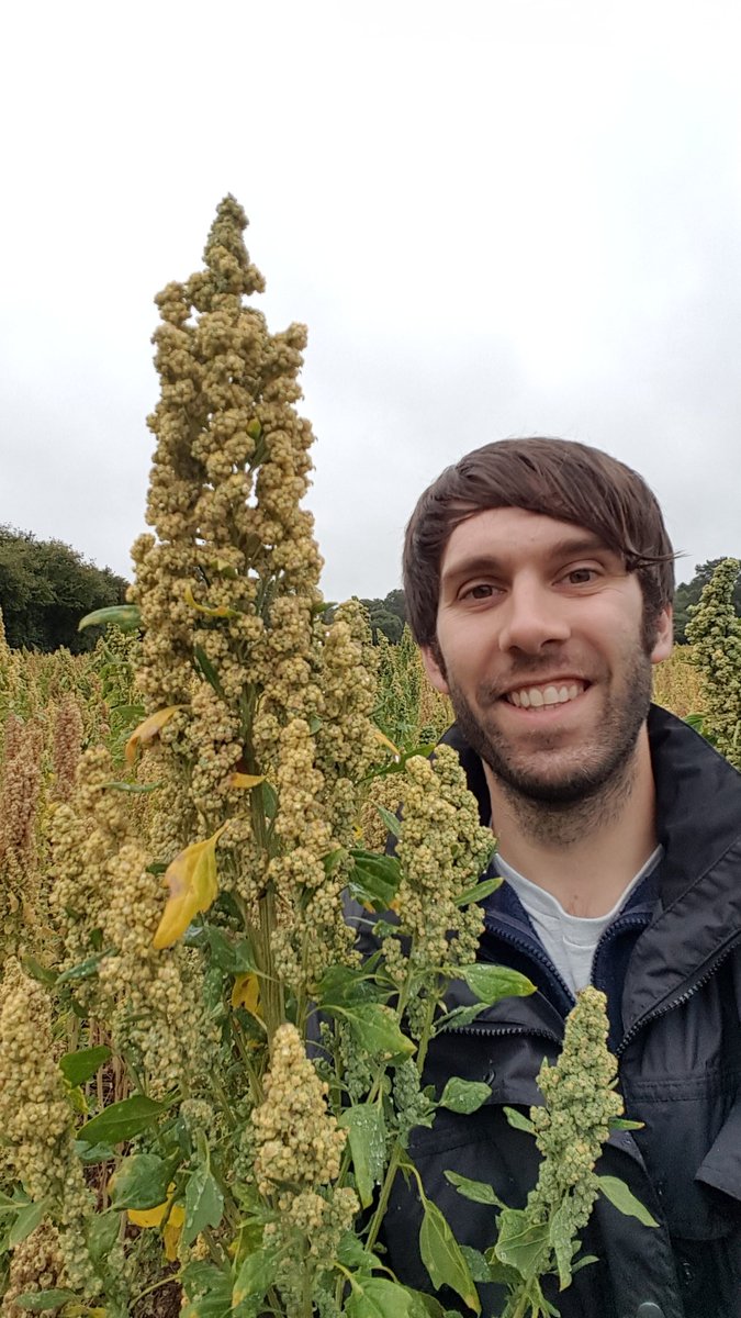 British Quinoa Co tweet media