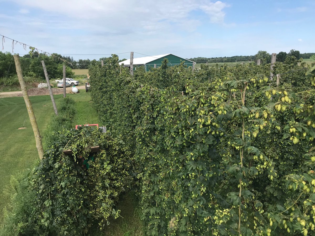 lex raben tweet media