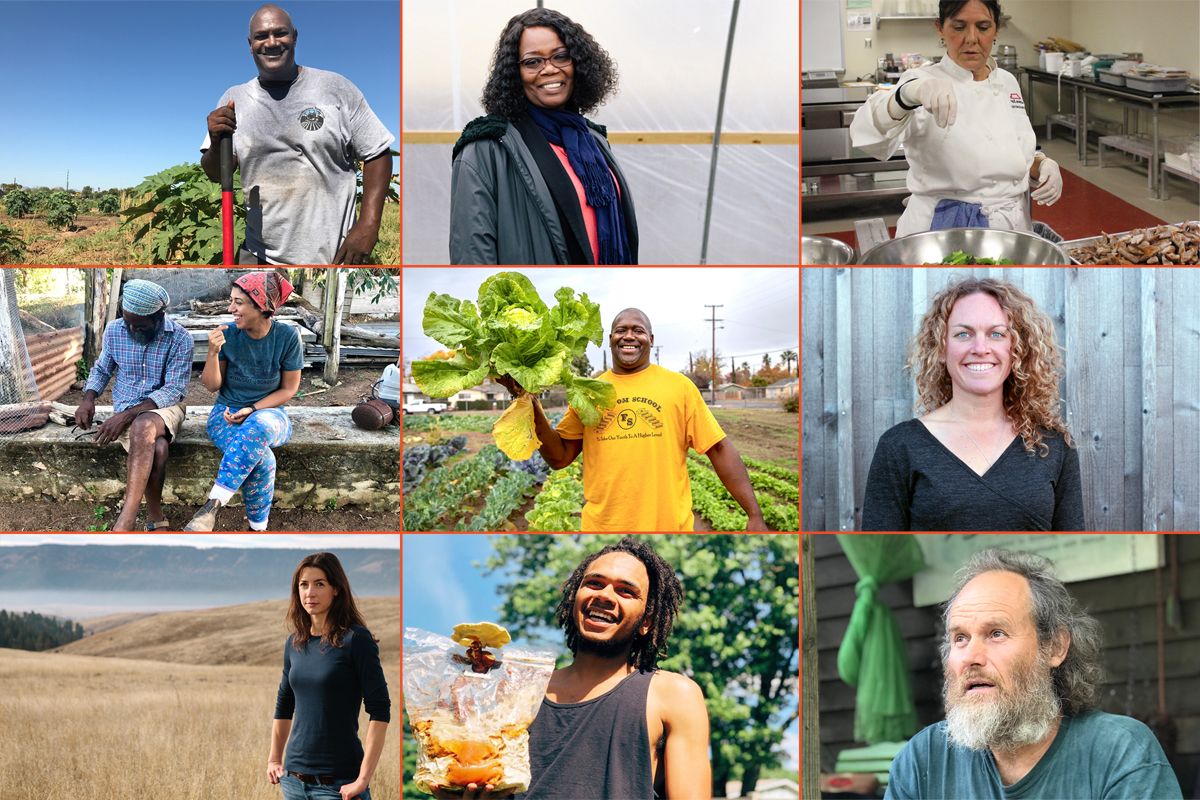 Need some inspiration from other Local Food Warriors? buff.ly/2Z1TcED