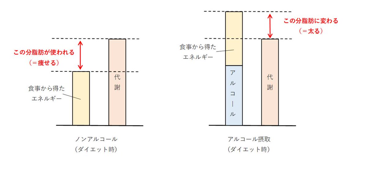 ペンギン先生 ダイエットの化学 Pizaapiza Twitter