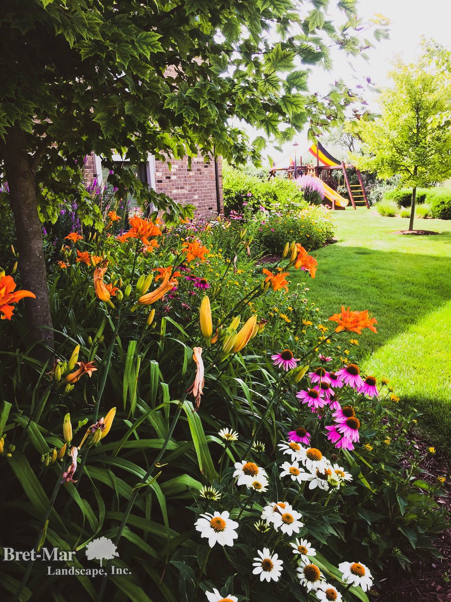BretMarLandscap's tweet photo. Here is a little snapshot of a colorful perennial garden. Mid summer is prime time for these plants to show their stuff! #perennials #color #landscapeprofessional #coneflower #daylily #homerglen #summertime https://t.co/Gf3ifgXKHX