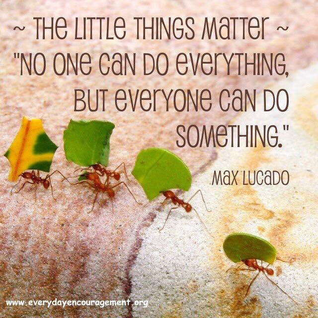 LMartinelliDRES's tweet photo. I must remind myself of this in all aspects of life. It’s easy to get caught up and try to make it all perfect. Baby steps are ok too! https://t.co/E45F5gcjKh