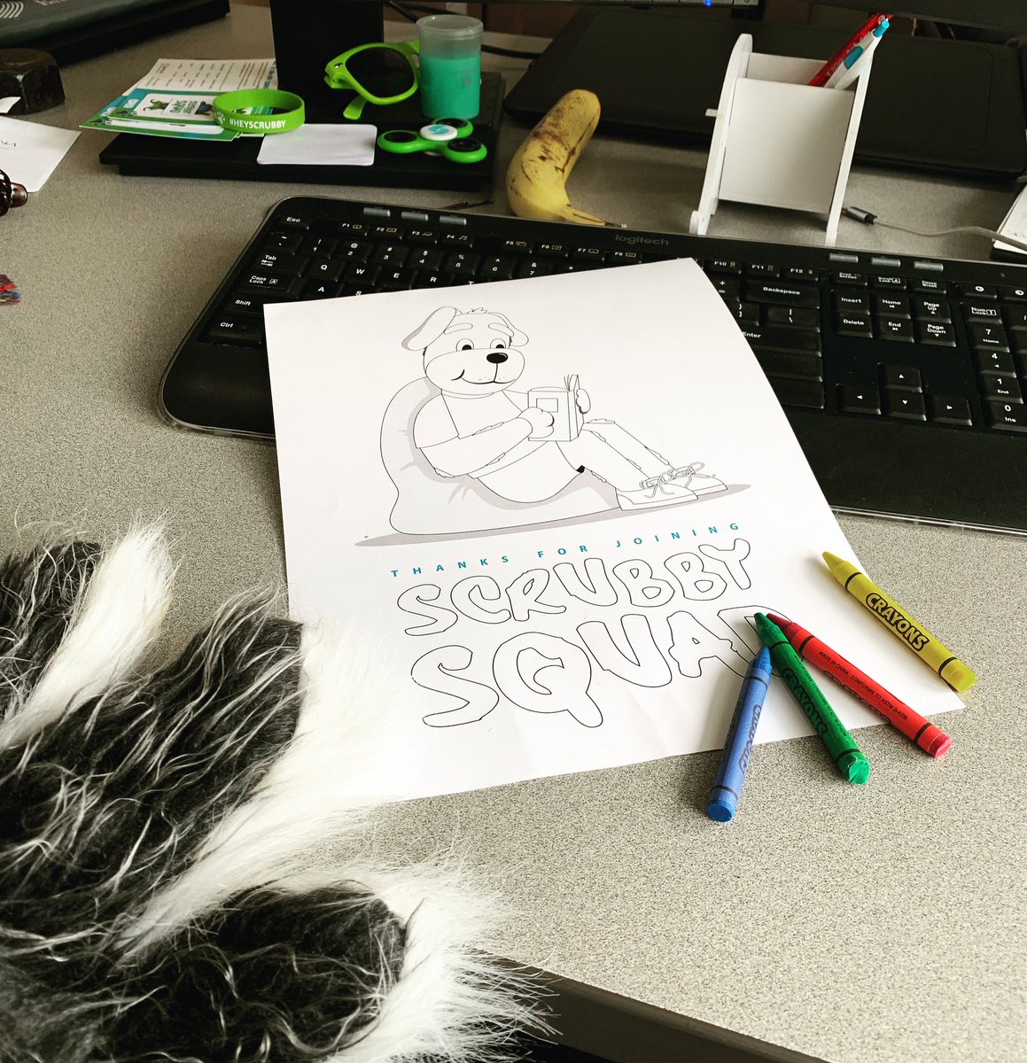 ScrubbyME's tweet photo. Getting ready to start mailing our first round of “Welcome Packs” to all of our squad members! This coloring page is just one of the cool things it will include. #ScrubbySquad #welcomepacks #coloring #joinmysquad #healthyliving https://t.co/mHrAyONPku