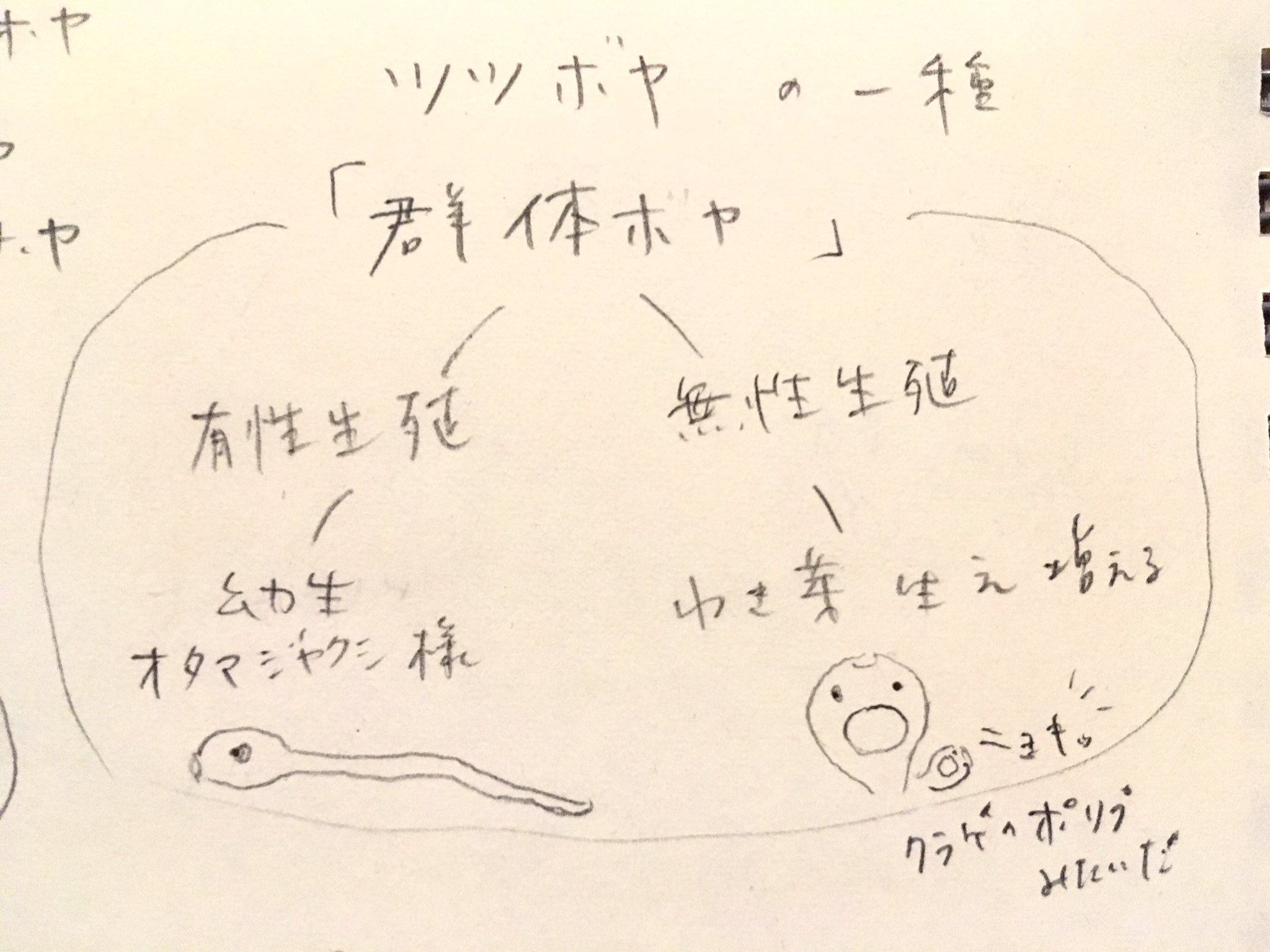 50 エクス プライド 172h Fr インプレ エクス プライド 172h Fr インプレ Serbuanwallp 50 エクス プライド 172h Fr インプレ エクス プライド 172h Fr インプレ Serbuanwallp