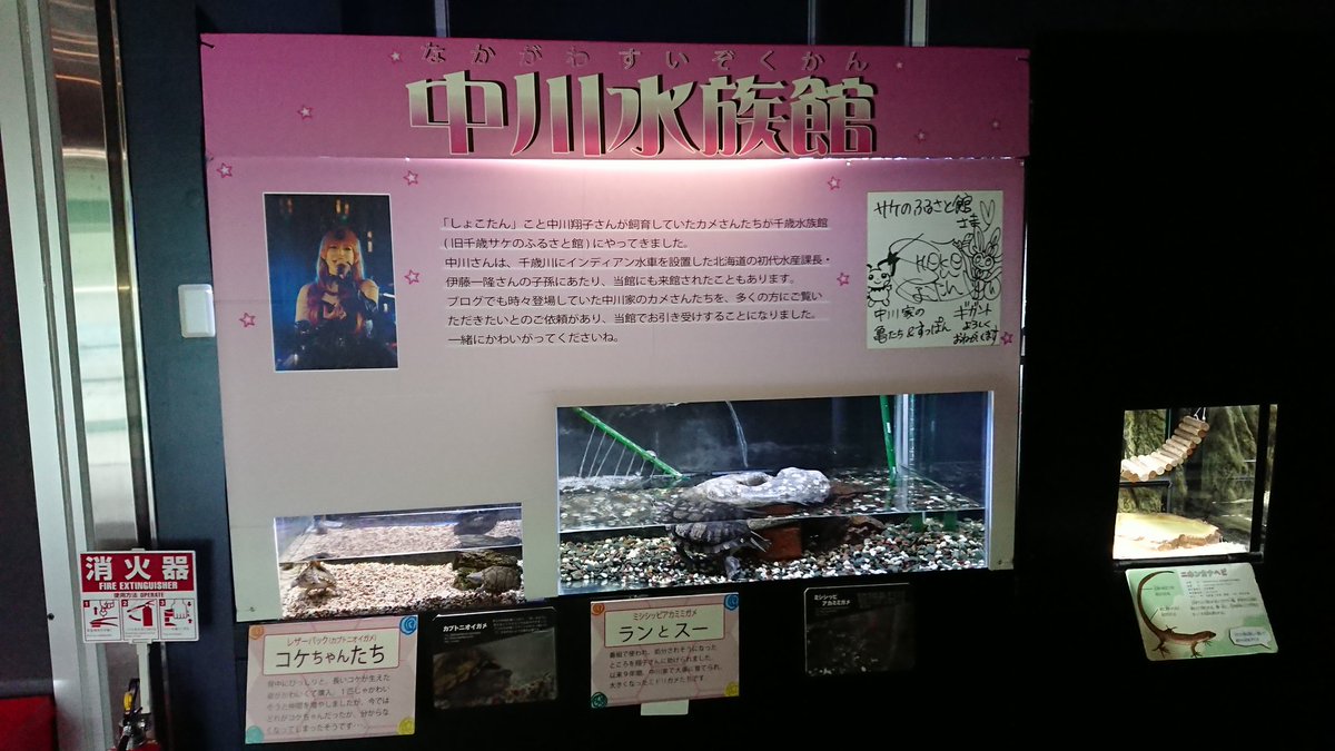 サケのふるさと館千歳水族館