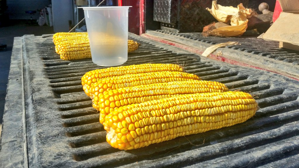 RMattGriffin's tweet photo. It's almost that time...excited to see some yield data from the 2019 corn research trials #valentusa #valent #msarc https://t.co/a5Z65JrzwA