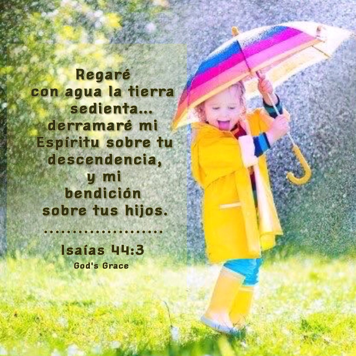 loremgcastillo's tweet image. Dios te bendiga a ti y a tu familia...Isaías 44:3  Que regaré con agua la tierra sedienta, y con arroyos el suelo seco; derramaré mi Espíritu sobre tu descendencia, y mi bendición sobre tus hijos.☔️
facebook.com/Godsgrace.lagr
