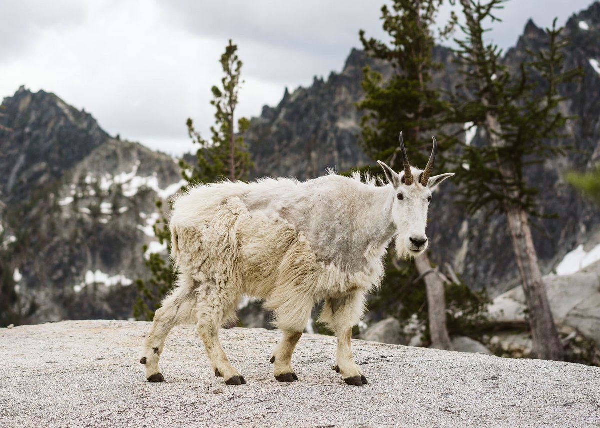 download Race, Discourse