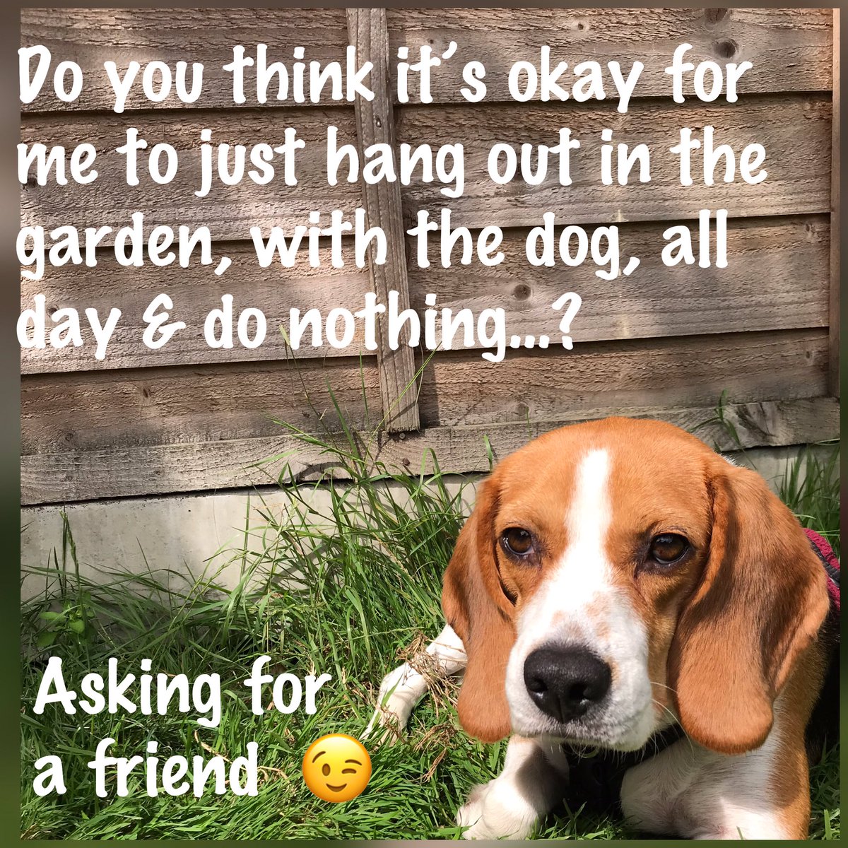 Yo! Mummy! Yes you should 🙌🏻🙌🏻#elletherescue