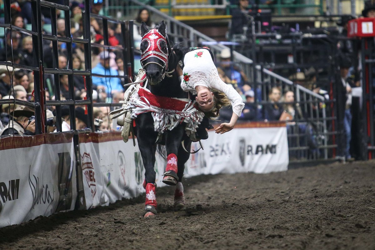 StellaCFCW's tweet photo. Come out to Wildwood, Alberta (west of #yeg) to see Bella DaCosta Trick Riding Saturday 2pm. I get to be a part of it...as an MC. π€ #WildwoodAgFair #SmallTownAlberta https://t.co/Zg2JT46VfC