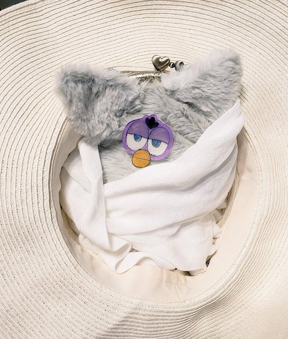 ã³ãã±ã§å°ãåžãé¢ããŠæ»ã£ãŠããããã¡ãã¡ãããããã«ãªã£ãŠããŠå¯æãã£ã