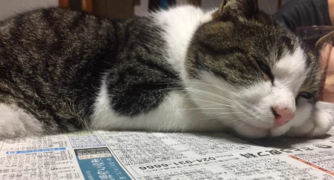 おねむ 