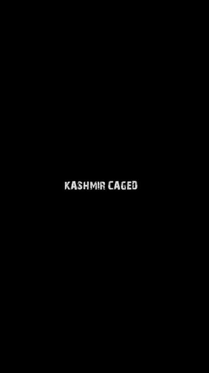 CandidAnalyst's tweet photo. @waniriffat we stand by #Kashmir .
we'll fight this war together https://t.co/DWUbvEwalz