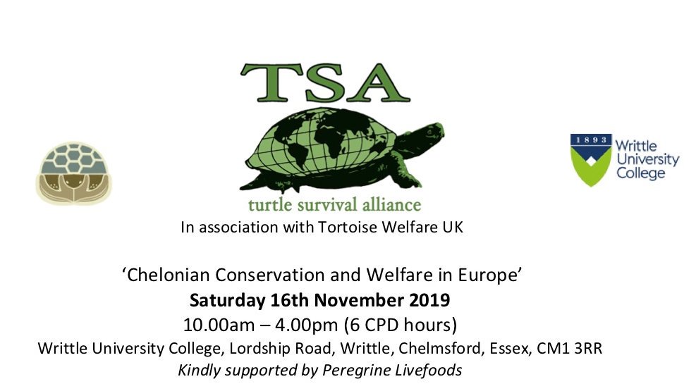 European Turtle Alliance tweet media
