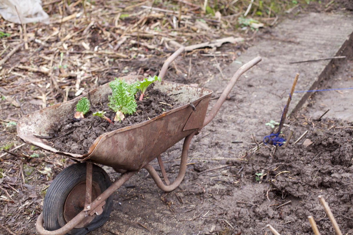 HinterlandsWAL's tweet photo. It's #NationalAllotmentsWeek! Check out the advice & resources available on the National Allotment Society's website to find out how to cultivate your own. https://t.co/vwIQHbweI0
#foodproduction #forktofork #allotments #Talygarden @Hafal_ @peakcymru @CanalRiverTrust https://t.co/WMVV0ZfSTd