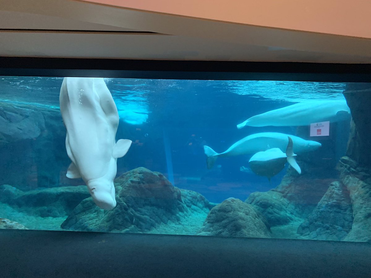 Critical_EG's tweet image. Coolest place for a @CapRateEvents #datacenter &amp;amp; cloud infrastructure summit EVER! #atlantatechnology