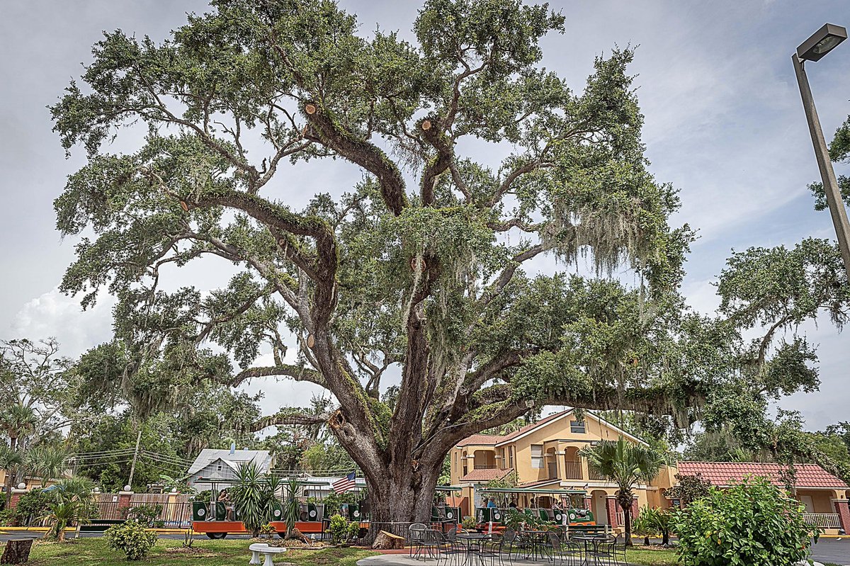 TrailMark Living tweet media