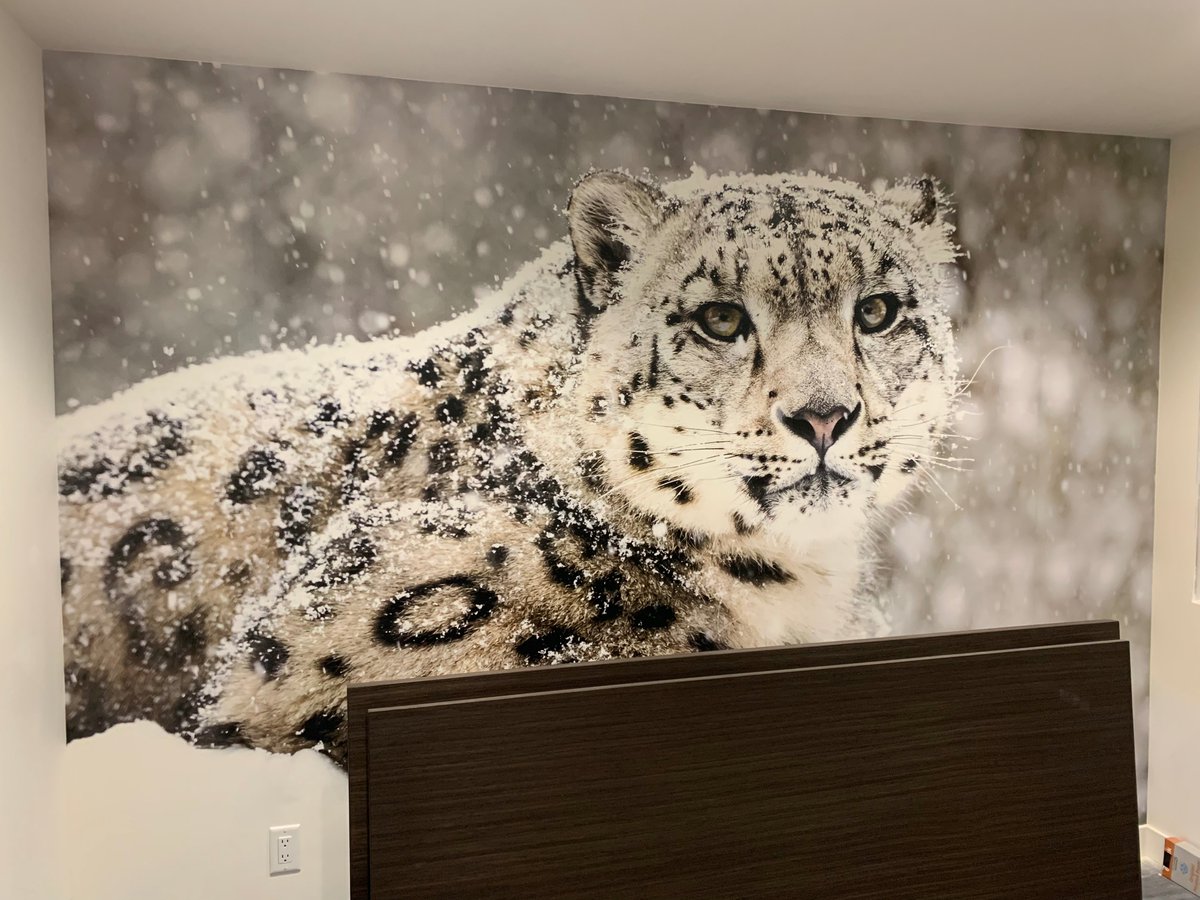 Murale Léopard des Neiges, Muralunique.com
Snow Leopard Mural, Muralunique.com