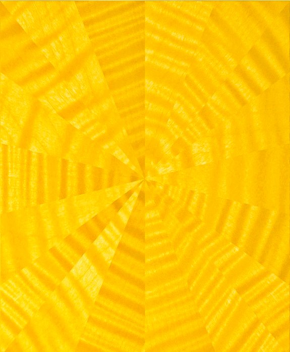 Lotusier tweet media