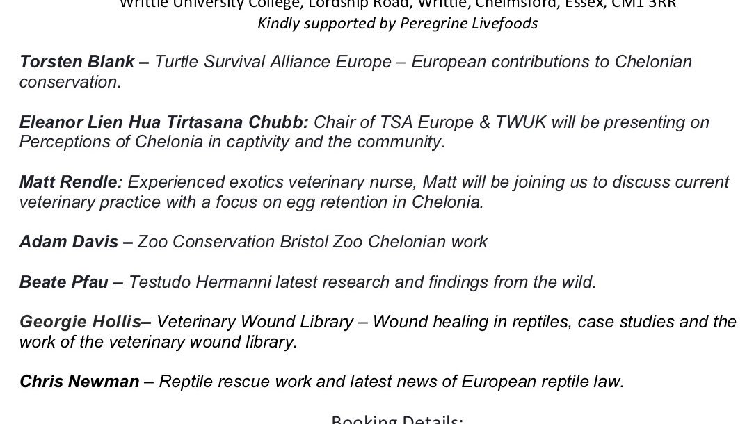 European Turtle Alliance tweet media
