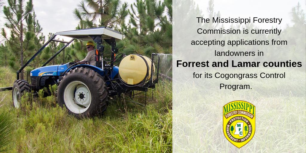 MSForestryComm's tweet photo. Non-native invasive plants, like cogongrass, can do tremendous damage to our forests. This is why the @MSForestryComm is assisting landowners in Forrest &amp; Lamar counties eradicate this noxious weed. Learn more- https://t.co/2pSMUrugdY. #MSforestry #foresthealth https://t.co/Iu8sPicD24