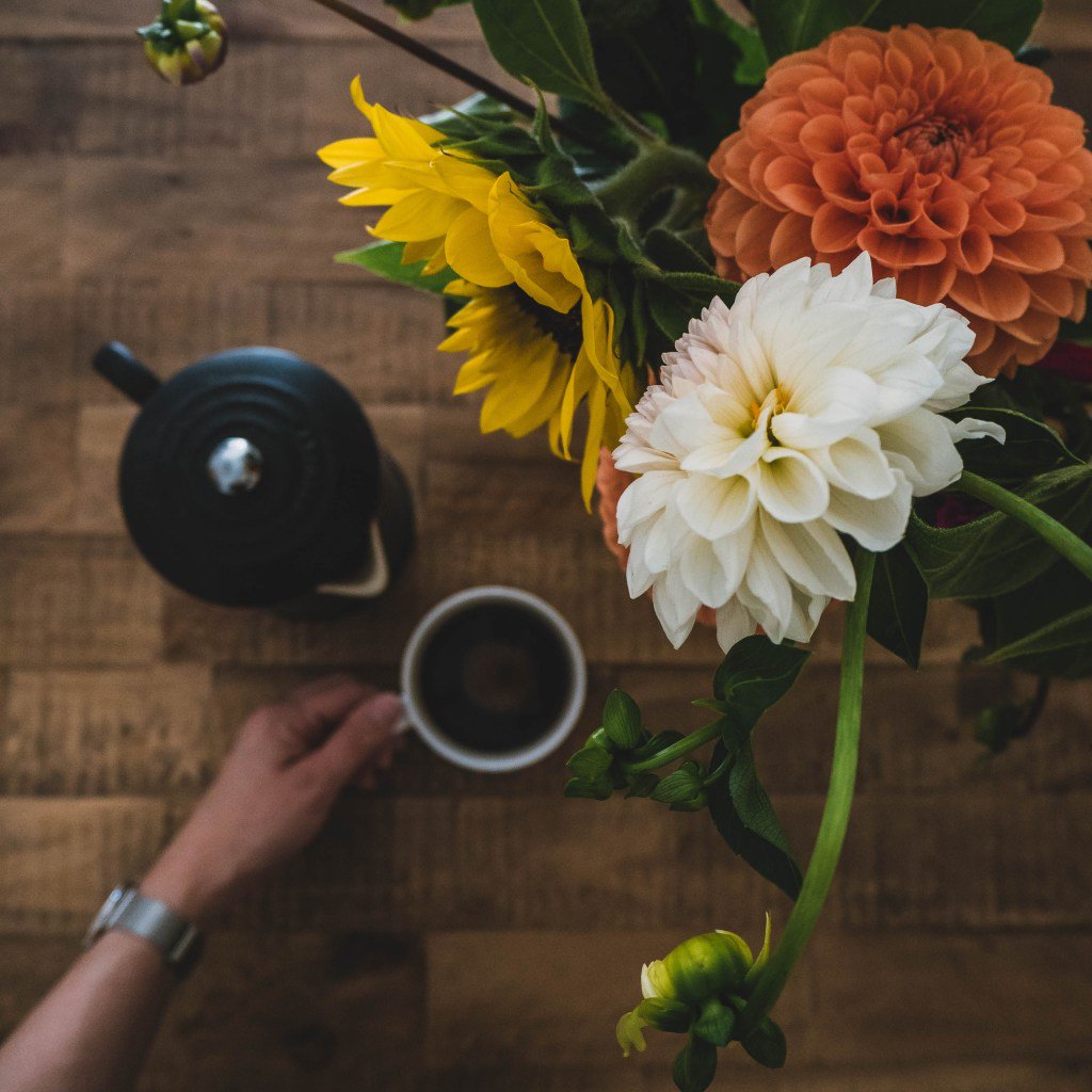 winnettes_'s tweet photo. Becoming a Better Home Barista https://t.co/f2mko1qfUC https://t.co/P1FOMBftnx