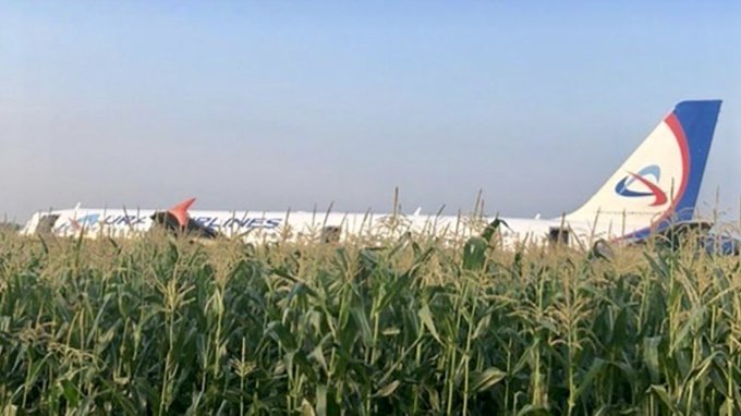 Voir l'image sur Twitter