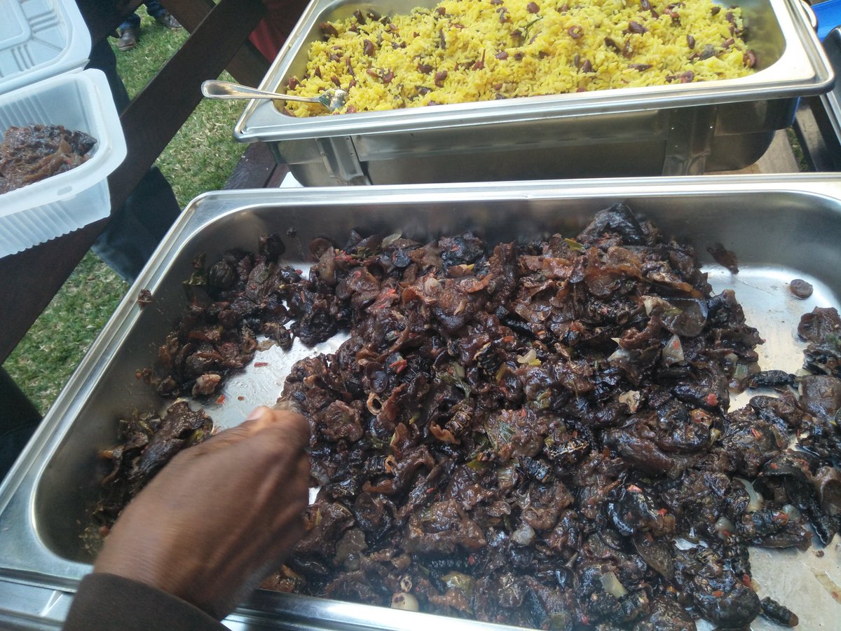 lisasiago's tweet photo. Edible insect dishes from DRCongo at the First African Conference on Edible insects... Caterpillars, termites, weevils etc
@MIGHTinsects 
@icipe 
@ZEFbonn 
#edibleinsectsAfrica
#AgriFose 
#insectsforfoodandfeed https://t.co/7isu168heE