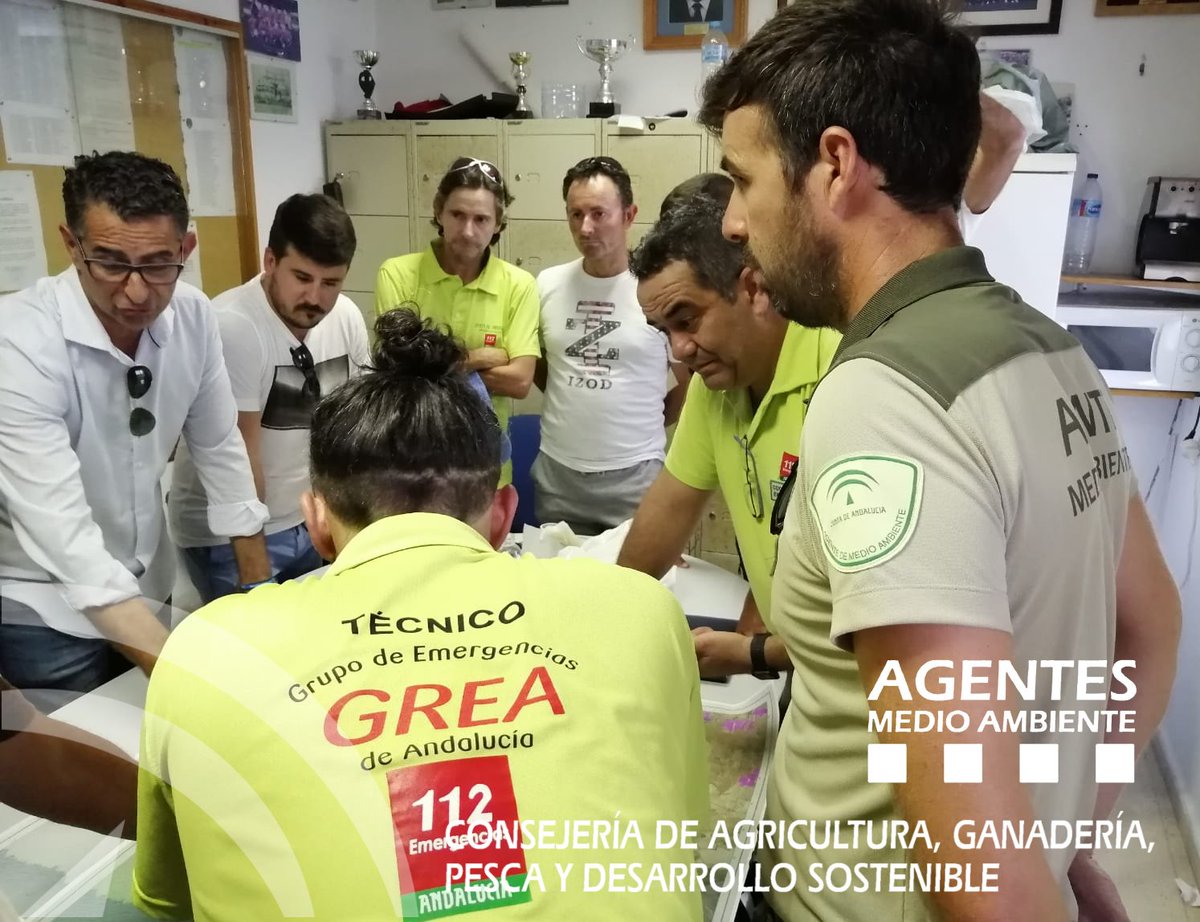 AAMM_And's tweet photo. Agentes de Medio Ambiente #AAMM de la Delegación de #Cadiz aportan su conocimiento del territorio colaborando esta tarde junto a otros cuerpos y #voluntarios en el operativo de búsqueda de una persona desaparecida ayer en el Parque Natural de La Breña #Barbate #VejerFra https://t.co/gybM0ocyar