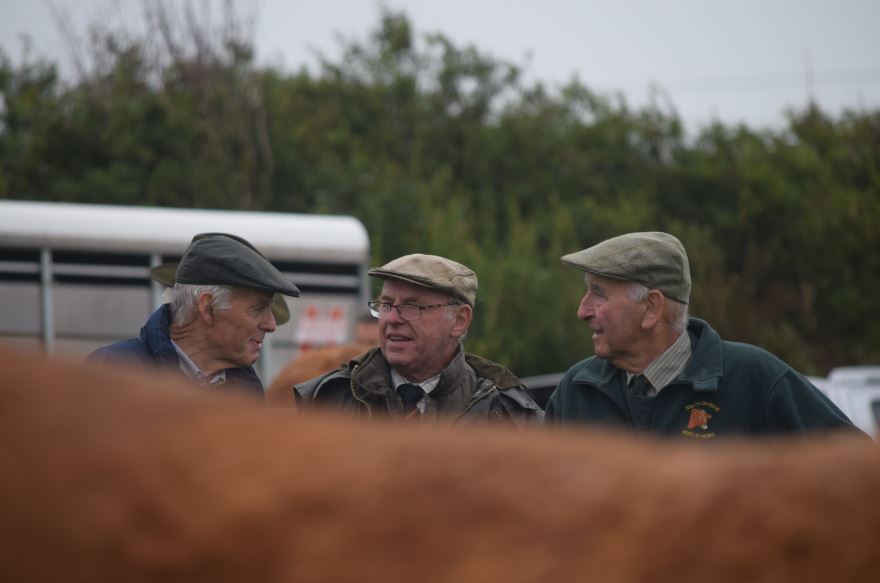 Athwenna Irons tweet media