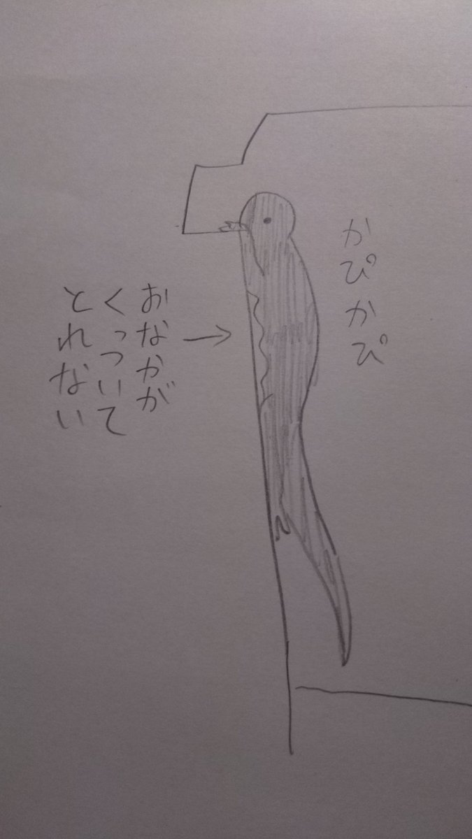 イモリが危うく死ぬとこだった
水につけたら元気になった 