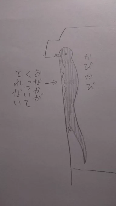 イモリが危うく死ぬとこだった
水につけたら元気になった 