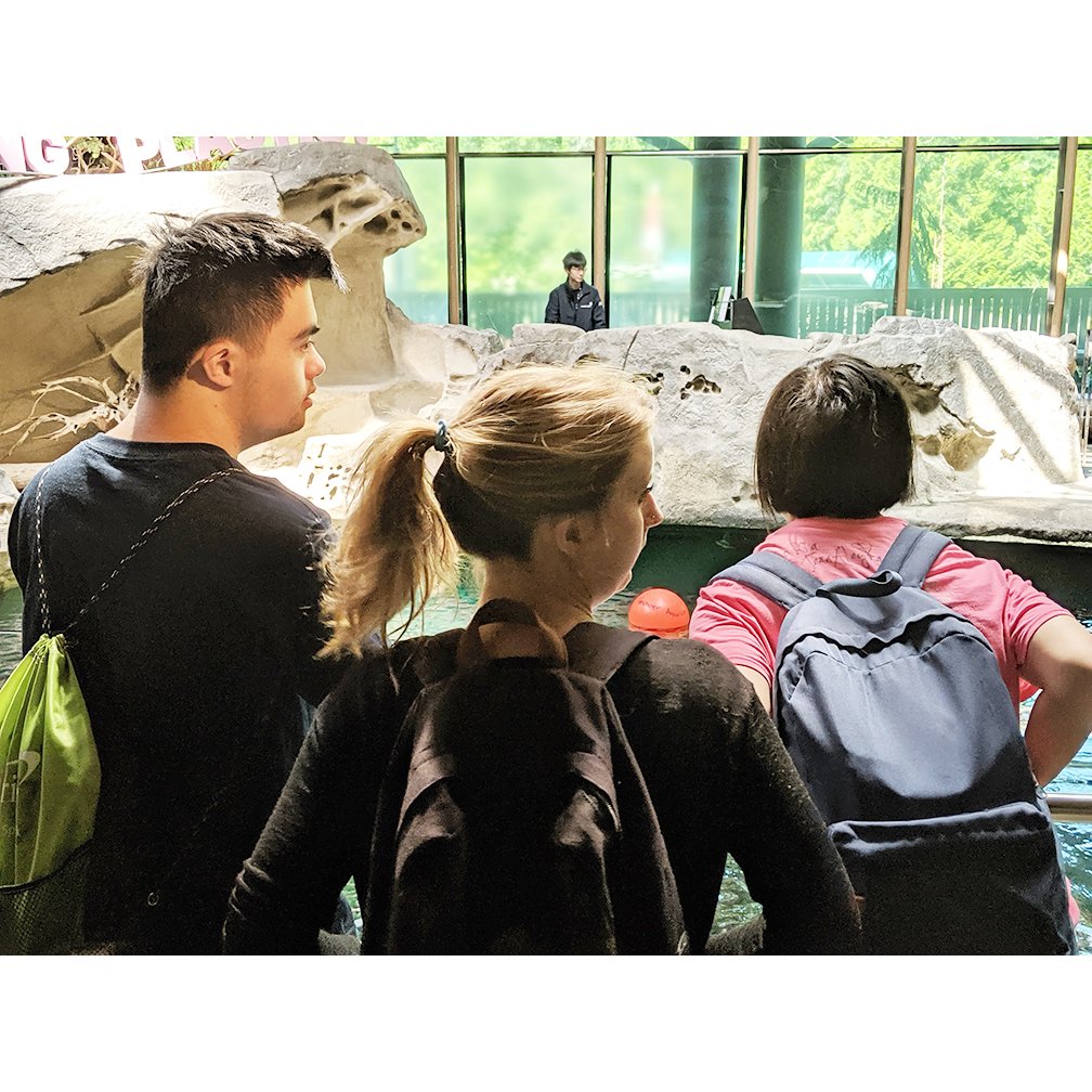 marchofdimescda's tweet photo. #TBT to July 8-19 when #MODCLIFE was held in Vancouver for the first time! We were able to show local young adults w/disabilities what the program is about & the different ways to expand on social & professional skills through workshops, adaptive sports, & community outings. https://t.co/kYQcxiCgUo