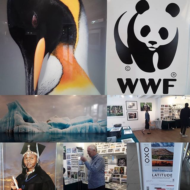 LondonersLondon's tweet photo. The #Free #Wildlife #Latitude #photogroqhic #exhibition in conjunction with @wwf_uk at @oxotowerwharf #GalleryOxo is fantastic & has been going for ten years, Been fortunate to have attended for five of them & met the amazing Photographer #RogerHooper o⦠https://t.co/uHFyd1ss7c https://t.co/1uUyzUP9ea