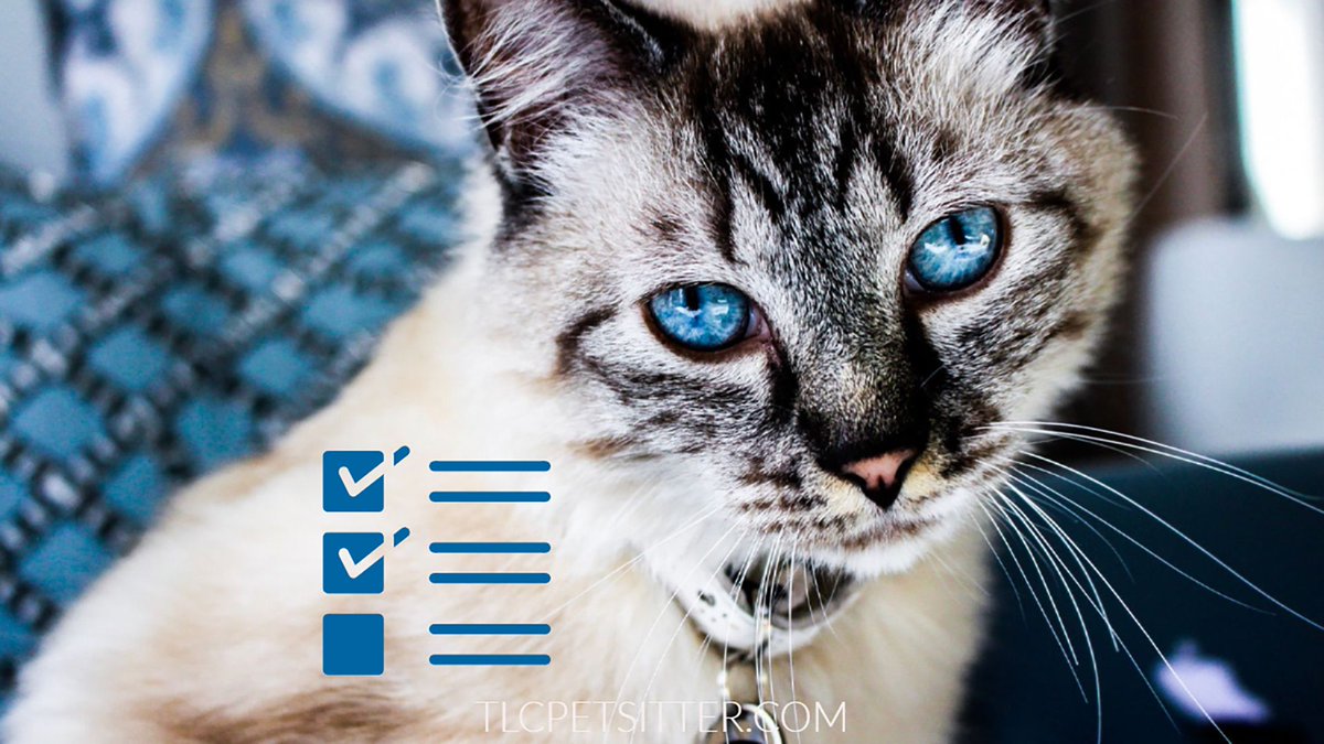 TLCpetsitter's tweet photo. It is National Check the Chip Day, encouraging pet owners to make sure that their pet's information is accurate. 
#petparent #catsofaz #welovecats #tempeaz #cats #checkthechipday https://t.co/9TLLGltOeP