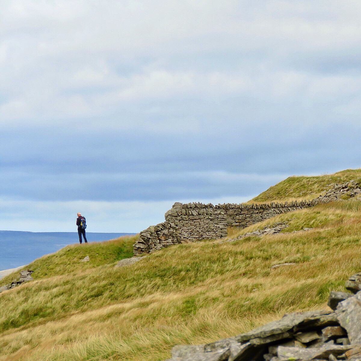 oldcrofthouse's tweet photo. All of our guests checked in early for a wedding @edenbarn so plenty of time to head to the fells...
#circularwalk #kirkbystephen #cumbria #nateby #greatbell #foulgutter #fellsendbottom #highpikehill #jinglingcove #fellwalking #cumbria #greatviews #headforthehills https://t.co/fQW3hlJC3h