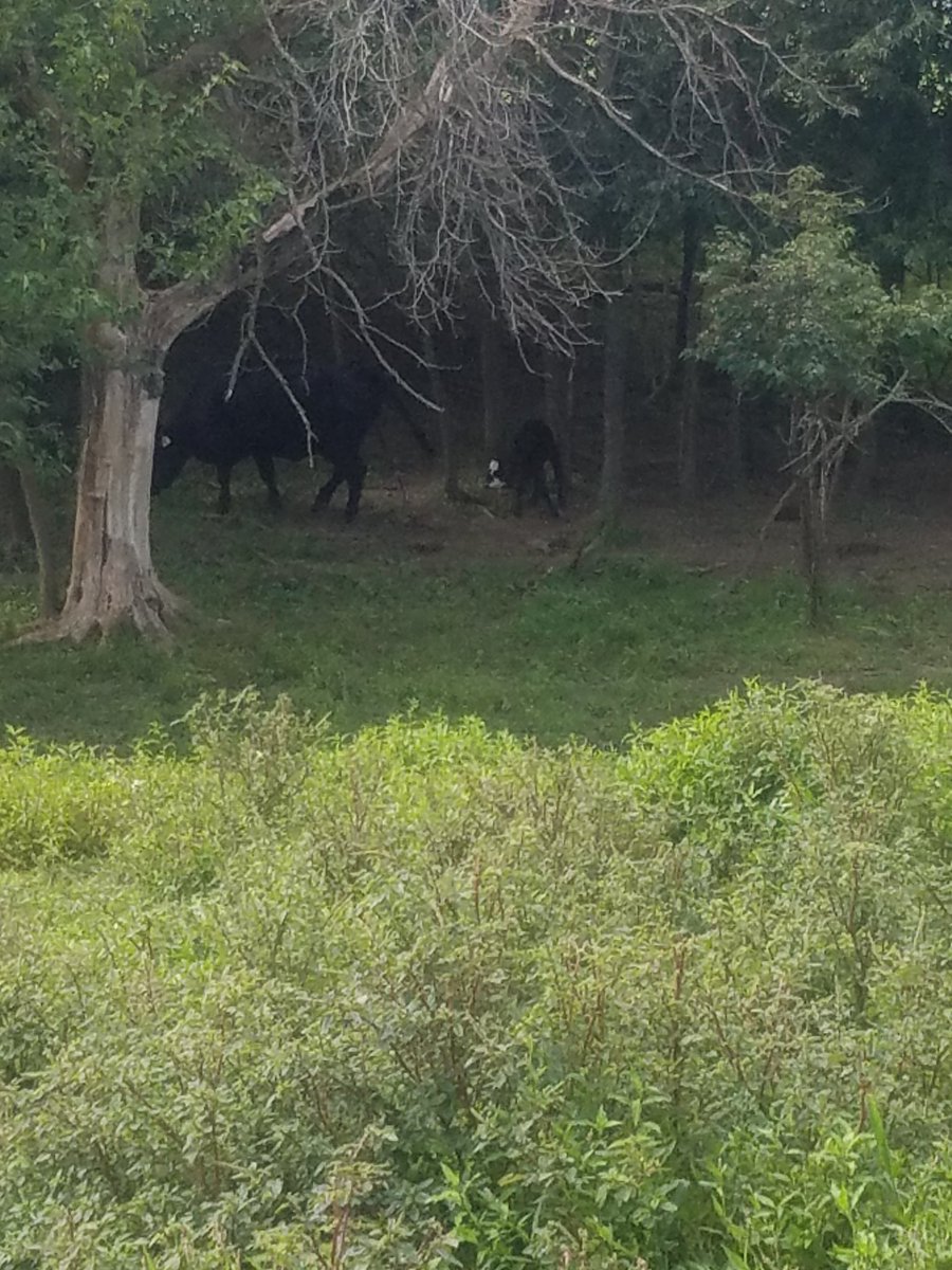 Looks like I went long feeders today.