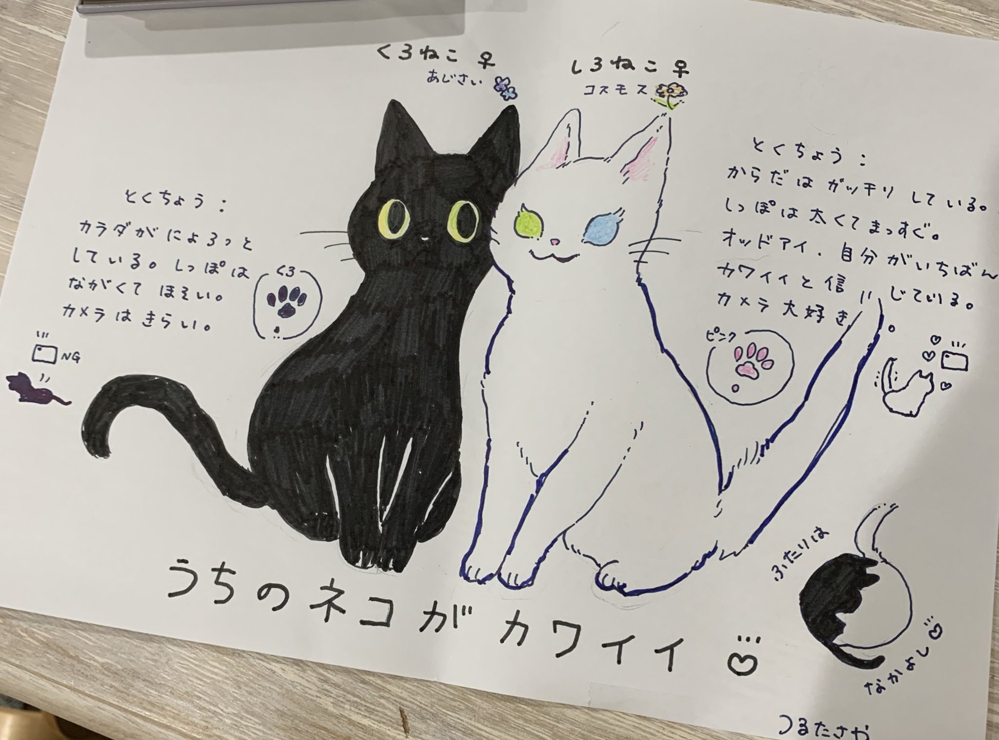 つるたさや Saya Tsuruta 桑沢デザイン研究所にて 森井ユカ先生 Yukayuka 伝わるイラストと読みやすい 文字 講座を受講しました 学校で様々な人と共に興味のあることを学ぶってこと自体が本当に久々でとても新鮮で楽しかったです T Co