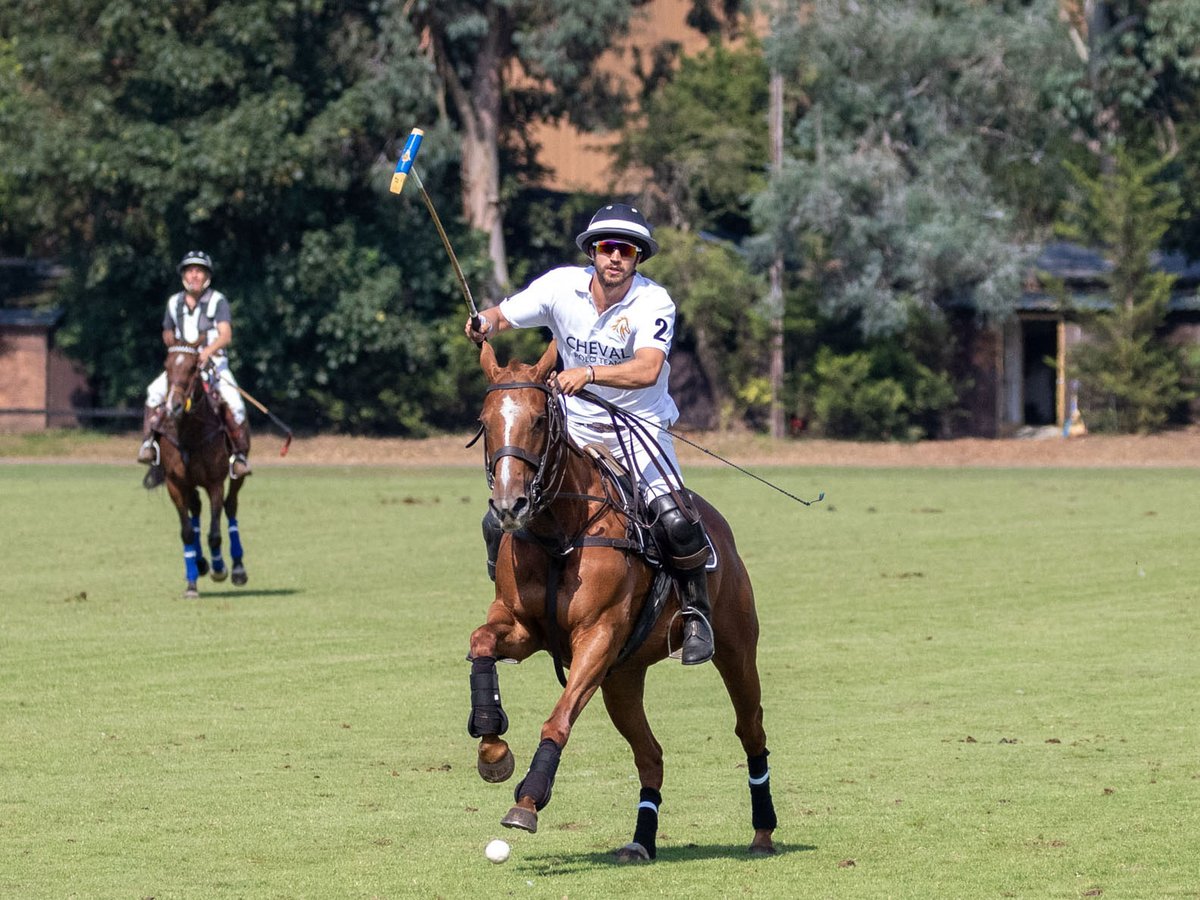 Cheval_Global's tweet photo. We honestly can't believe that it's been already a month since our #Polo bonanza at the @HamPoloClub. If you missed our #ChevalPoloCup 2019, here's #throwback blog featuring a Q&amp;A session with Jason Warren, Head Coach and Captain of the Cheval Blanc team https://t.co/3lxY1TAJ6M https://t.co/uileX5rhOJ