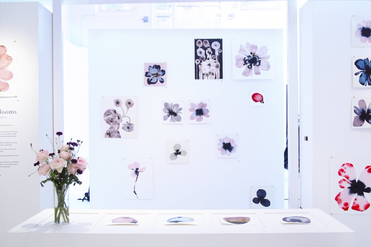 SHOWstudio's tweet photo. Here's #StephenDoherty’s delicate floral renderings in the gallery. Don’t miss the solo exhibition, 'Gratitude Blooms', at SHOWstudio! https://t.co/p7migzVUpX https://t.co/Q97FjOZHpc