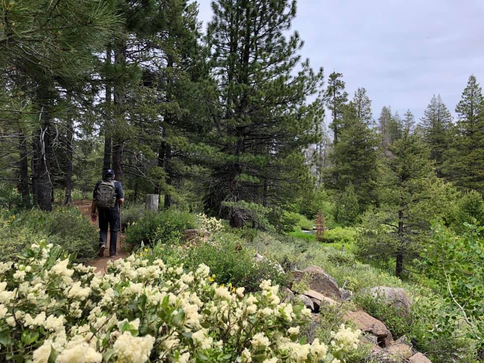 WholeEarthProv's tweet photo. When the trees call you for some company, you always answer.
π·: Whole Earthling Kathy
.
.
.
#MyWholeEarth #WholeEarthProvision #WEPCo #trees #Hiking #Travel #themoiuntainsarecallingandimustgo https://t.co/GlO5mKS40j
