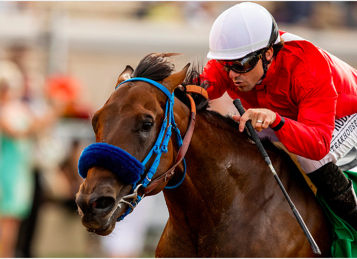 EclipseSports's tweet photo. Look at the #determination on that #face! 💪💪💪 #CollusionIllusion with @JoeTalamo up wins the Best Pal Stakes this past weekend @delmarracing. #Thoroughbredthursday #Thursdaymotivation #Thursdaymood @breederscup @HR_nation @ABRLive
📸: @a_evers https://t.co/h5V2oI7Pn6