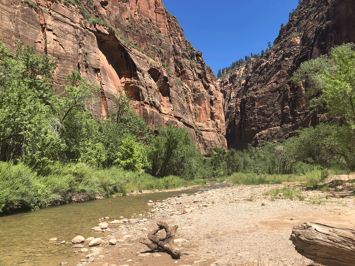 Zion_NP_Utah's tweet photo. "Sunshine! Suuuuunshiiiine!" - It'll be sunny this weekend in Zion with high temperatures of 99 degrees fahrenheit. 

#sunshine #sunny #warmweather #paradise #zion #zioncanyon #zionnationalpark #nps #hiking #outdoors #hiker #explore #nature #beautiful #utah #hikinginzion https://t.co/KxQMxP7MU4