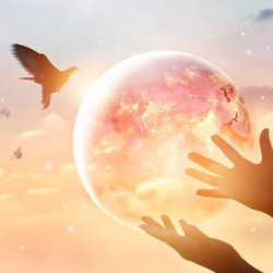 Trans4mParadigm's tweet image. Transcend the Matrix of Separation and ascend into Unity-consciousness. Immerse yourself in a 5D experience where love, peace, joy and harmony prevail. This event promises to be a life-changing experience for all!

25 FREE Tickets - Claim Yours Now: 
buff.ly/2ZmWxiE