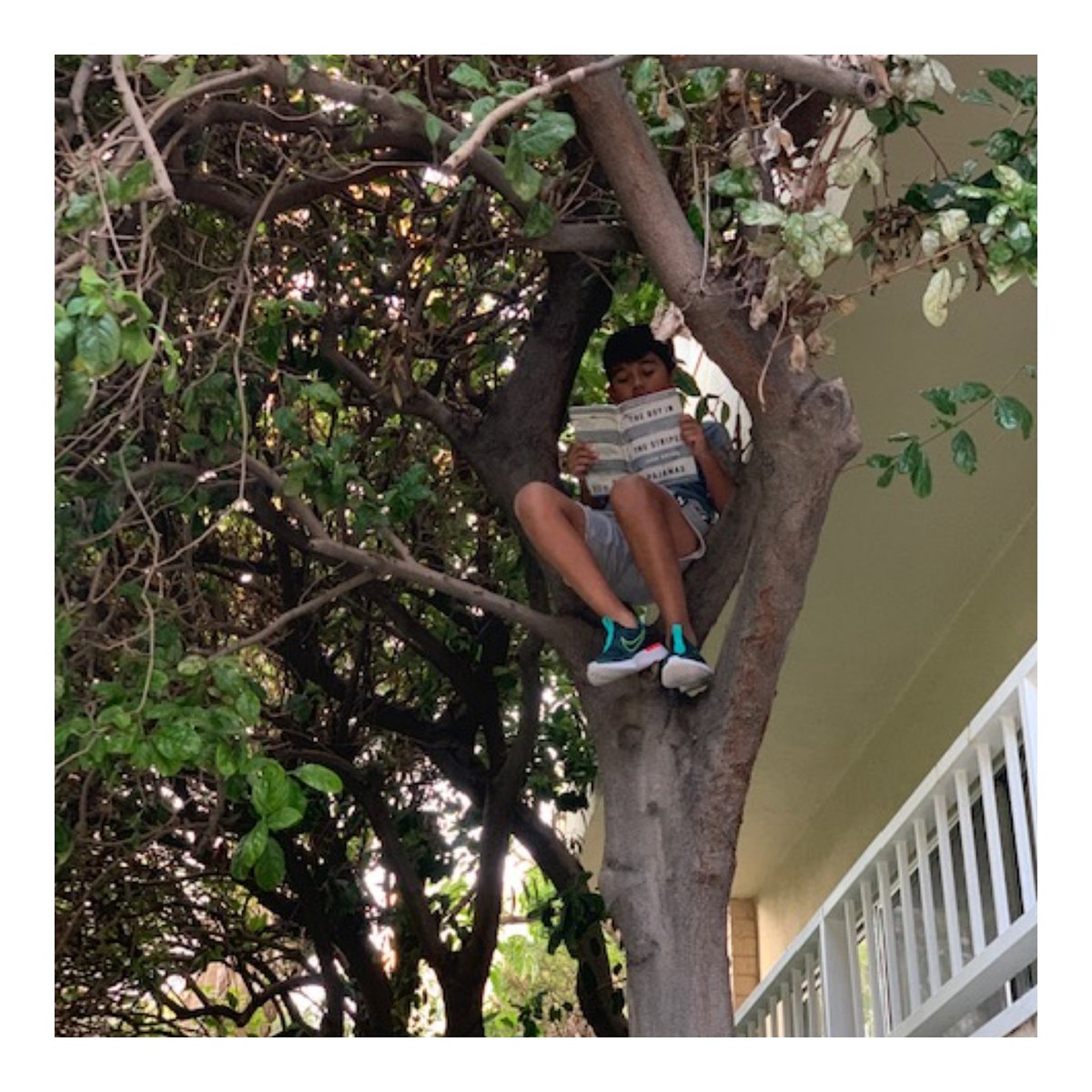 CaldicottSchool's tweet photo. Reading high up in the trees.
#CaldicottExtremeReading #SummerLibraryChallenge
Keep sending your photos to Ma'am Elson. https://t.co/kMxmI0JBR9
