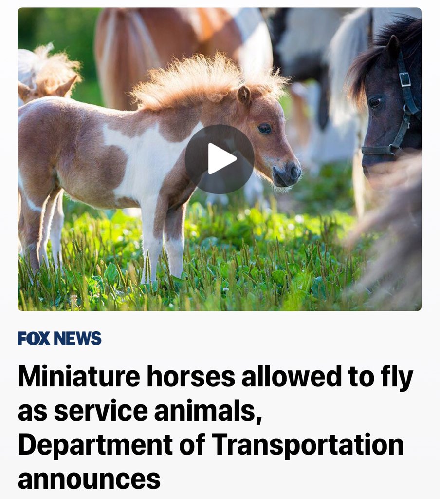 Finally some good news