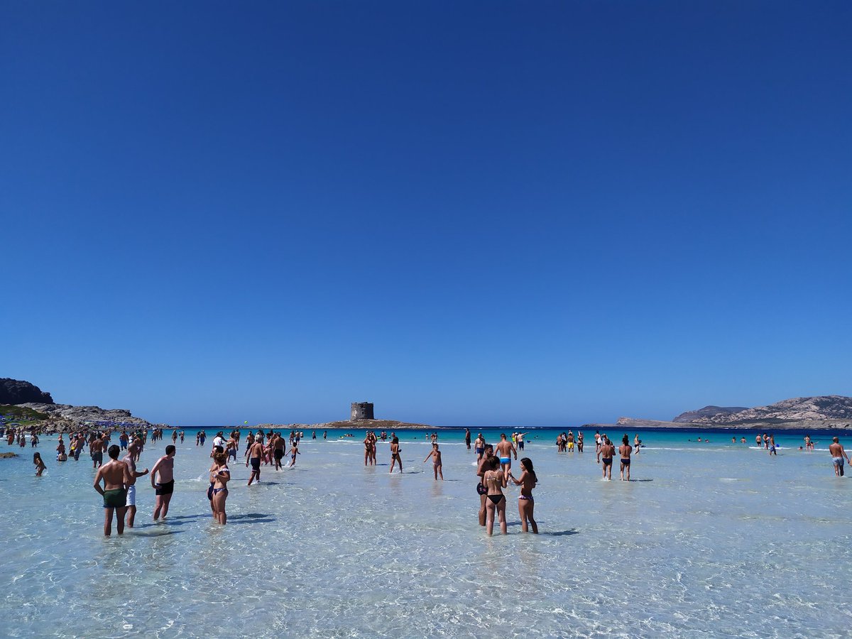 η Pelosa ετικέτα στο Twitter